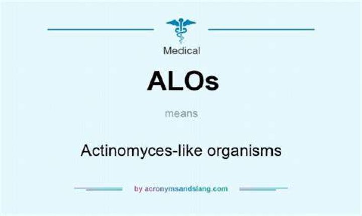 What does the word alos mean?