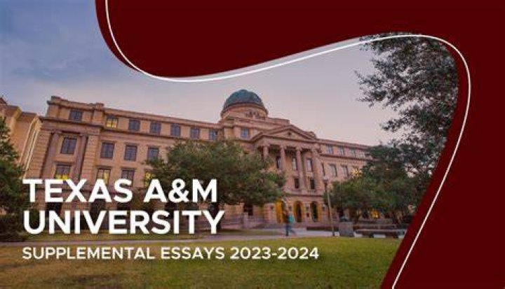 What essays Does Texas A&M require?