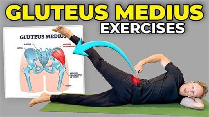 What exercises target the gluteus medius?