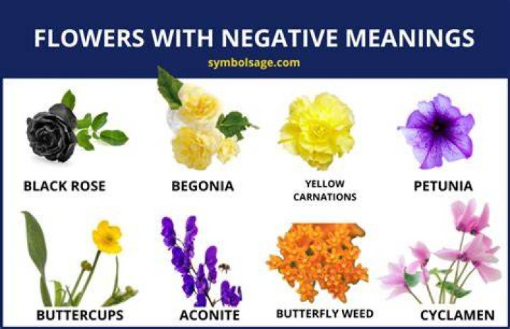 What flower symbolizes negative?