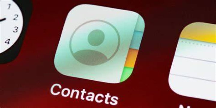 What format is Apple contacts?