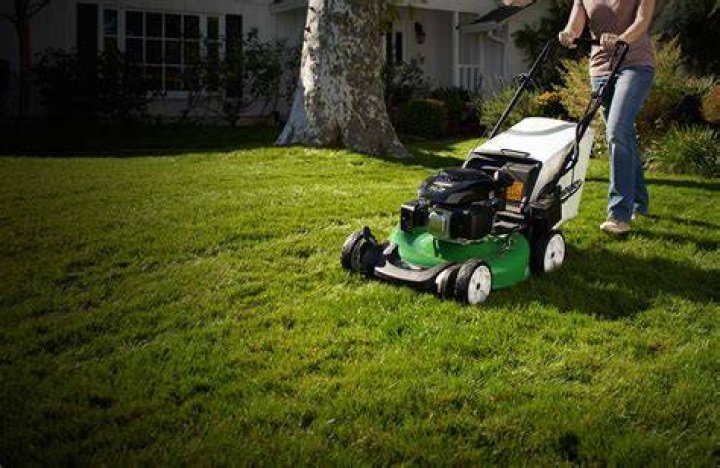 What happened to Lawn-Boy mowers?