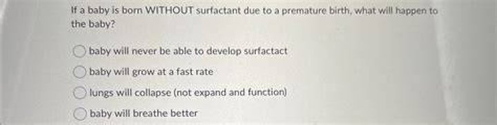 What happens if a baby is born without surfactant?