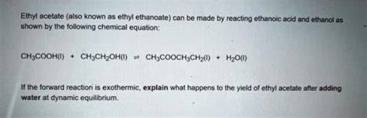 What happens when ethyl acetate is mixed with water?