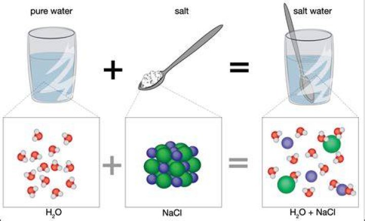 What happens when you put salt in a cup of water?