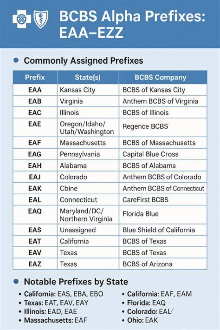 What is a alpha prefix?
