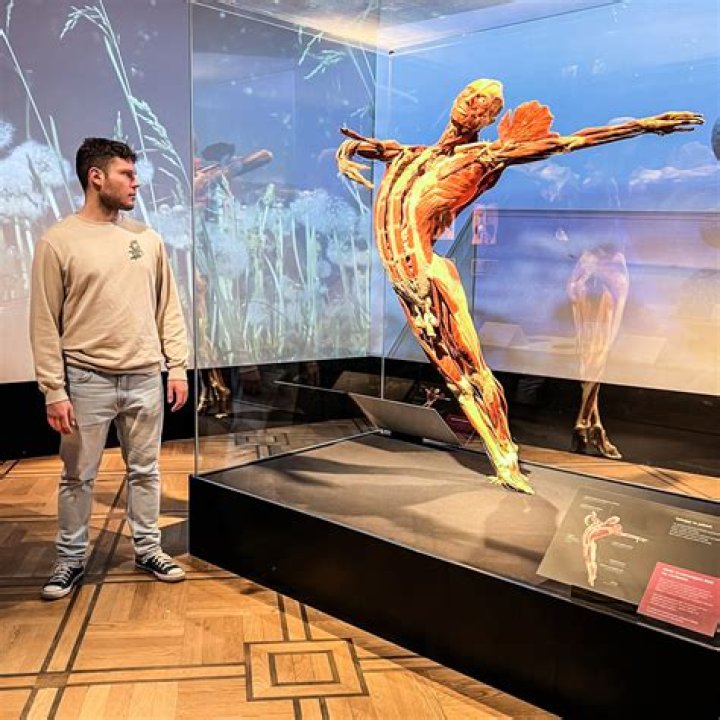 What is a body of art?