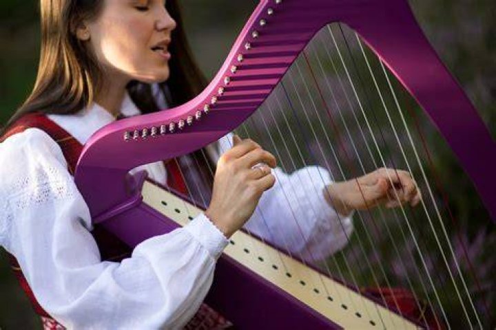 What is a Celtic harp called?