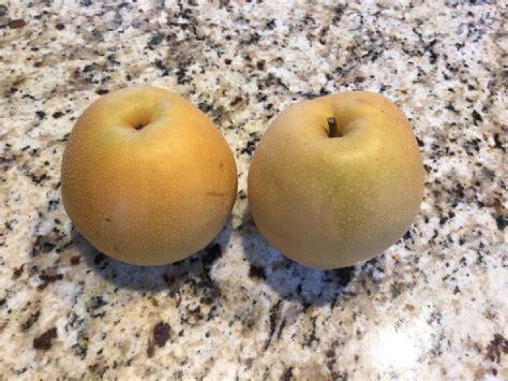 What is a cross between an apple and a pear?