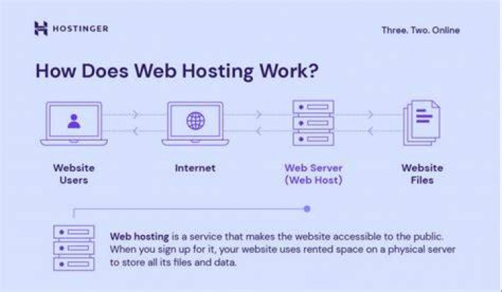 What is a file hosting website?