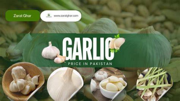What is a good price for garlic?