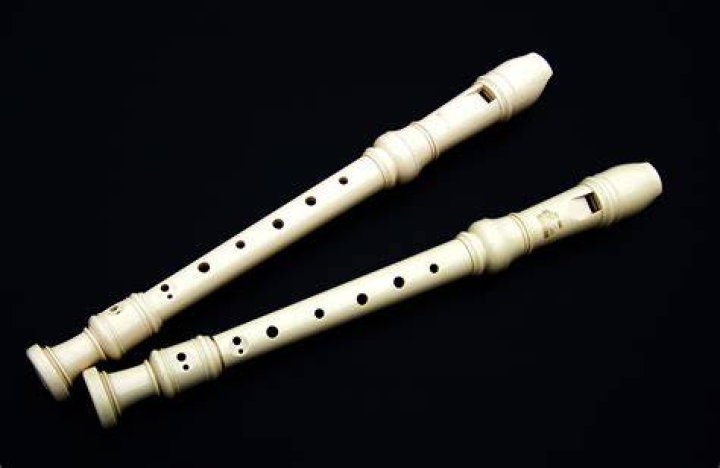 What is a good quality recorder instrument?