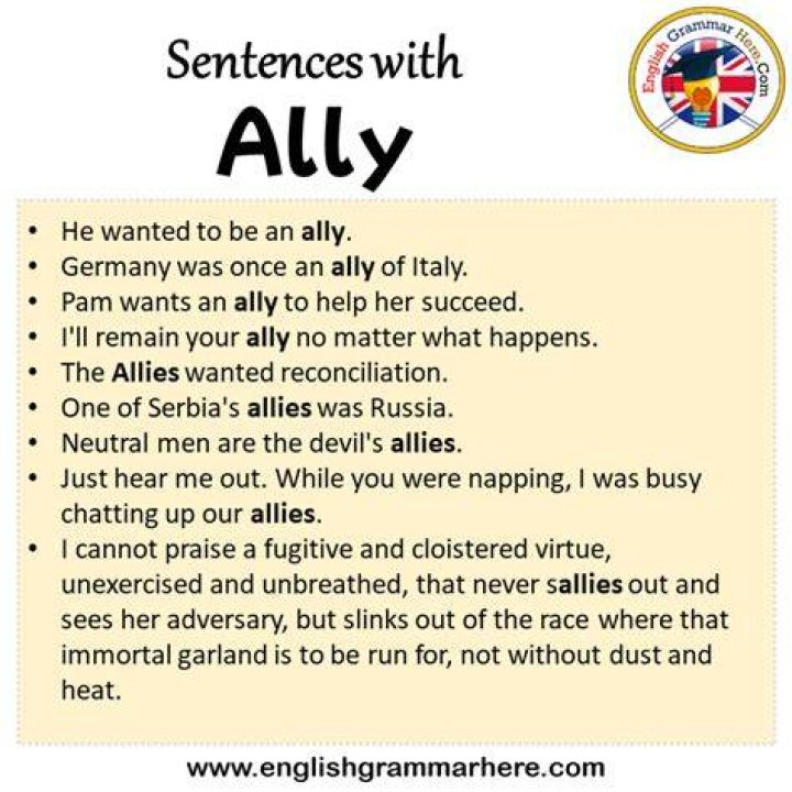 What is a good sentence for ally?