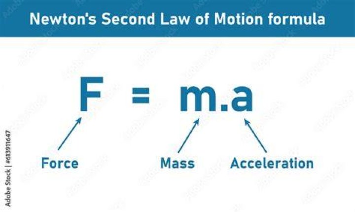 What is a newton force equal to?