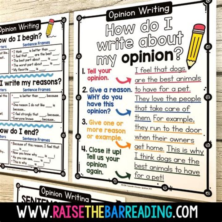 What is an opinion for 2nd grade?