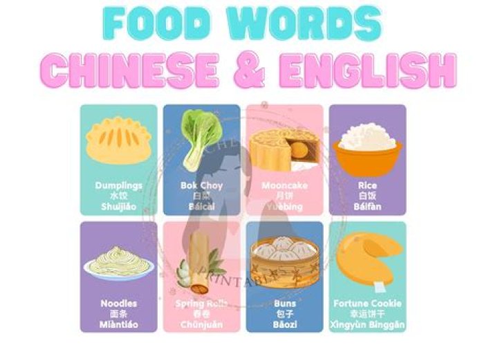 What is another word for Chinese food?