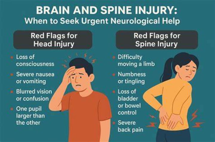 What is brain and spine injury?