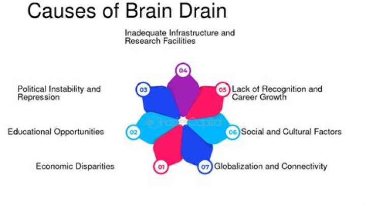 What is brain drain and its causes and effects?