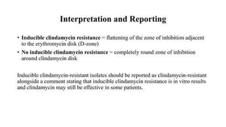 What is clindamycin inducible resistance?