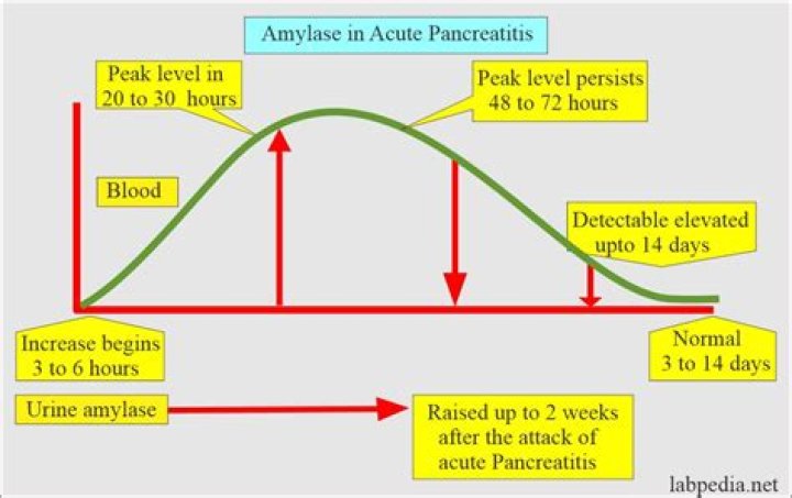 What is considered a high level of amylase?