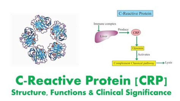 What is CRP (CRP)?