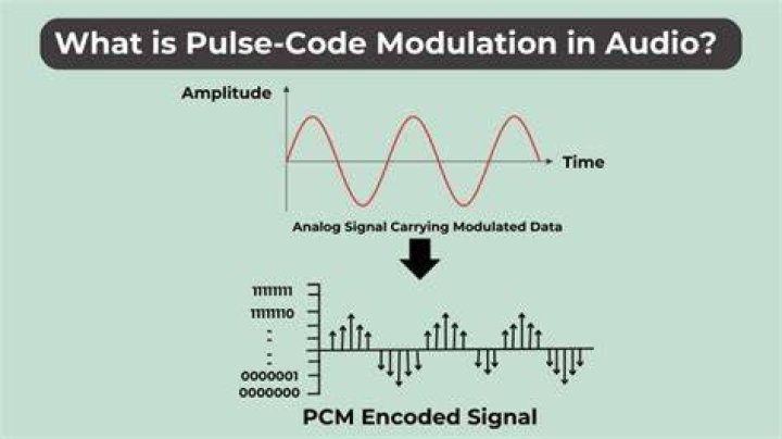 What is digital audio output PCM or raw?