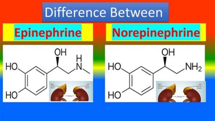 What is equivalent to ephedrine?