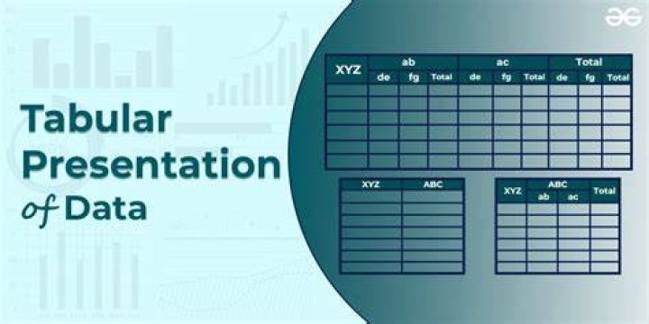 What is graphical and tabular format?