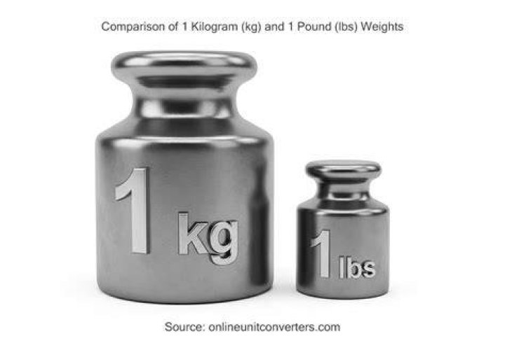 What is heavier a liter or a pound?