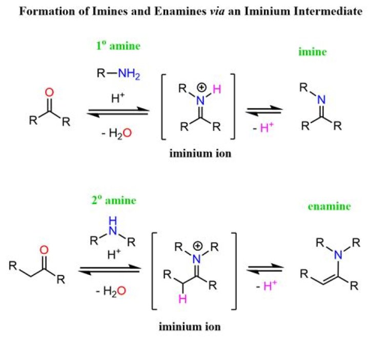 What is iminium salt?