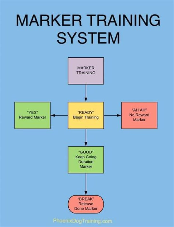 What is marker training?