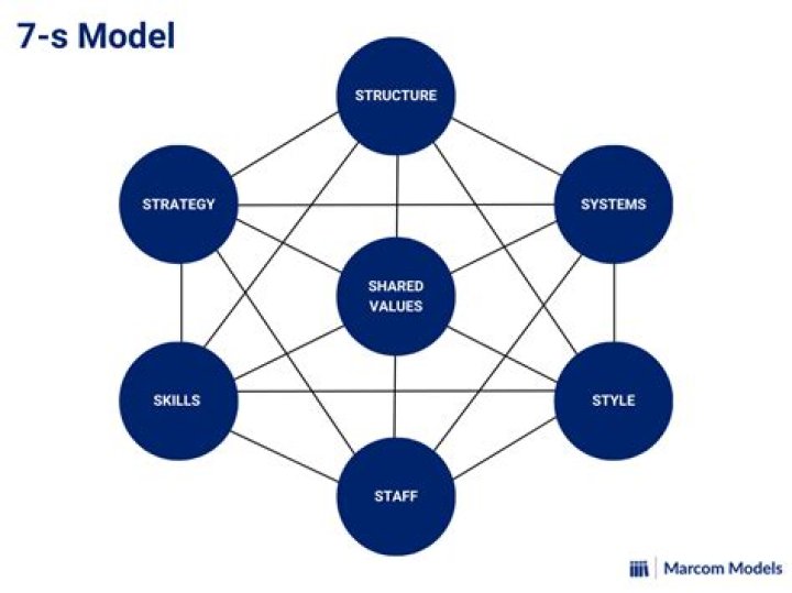 What is McKinsey 7S model explain briefly?