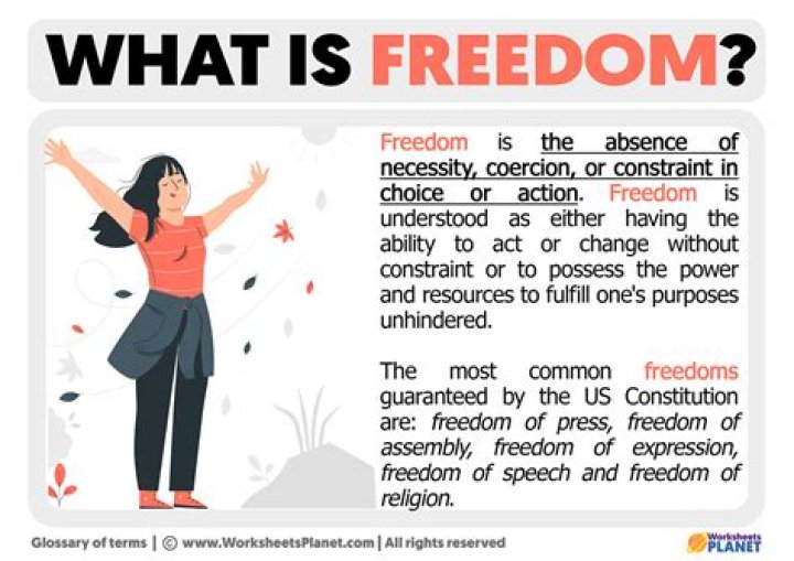 What is meant by freedom of association?
