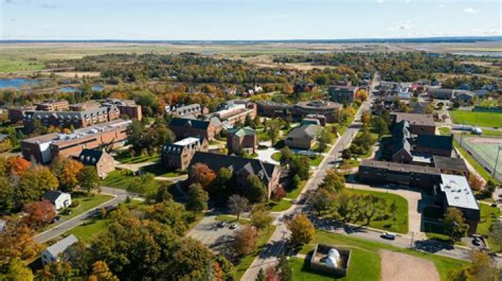 What is Mount Allison University known for?