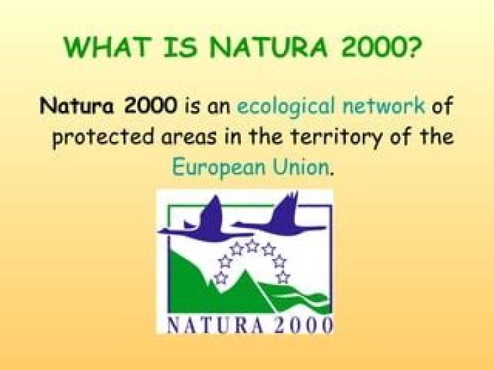 What is Natura 2000?