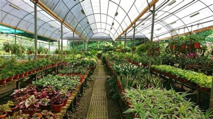 What is nursery called in UK?