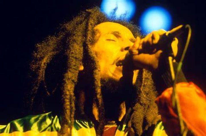 What is reggae EDM called?