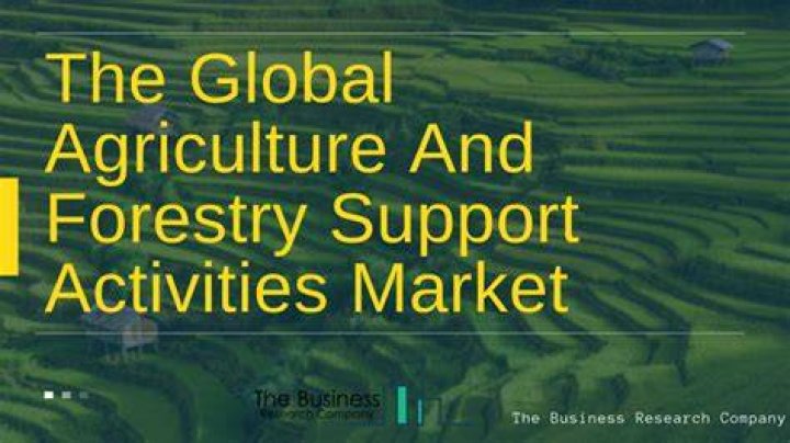 What is support activities for agriculture and forestry?