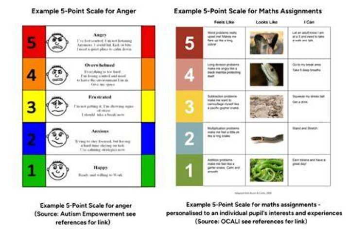 What is the 5 point Behaviour scale?