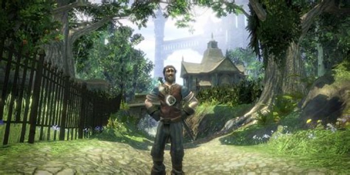 What is the best choice at the end of Fable 2?