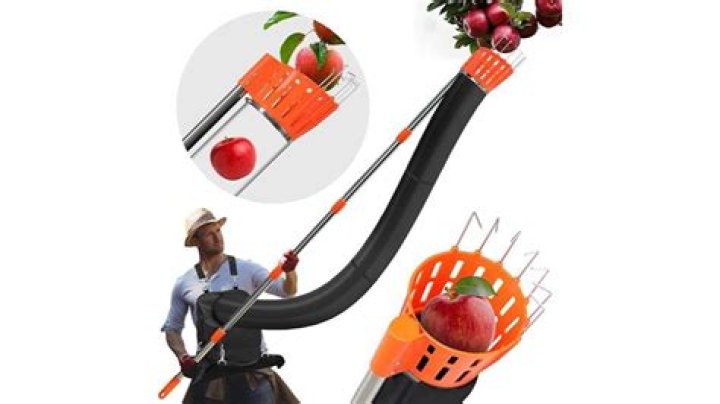 What is the best fruit picker?
