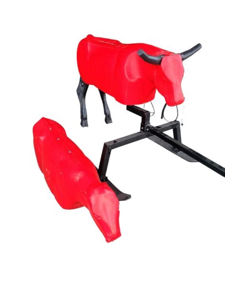 What is the best roping dummy?