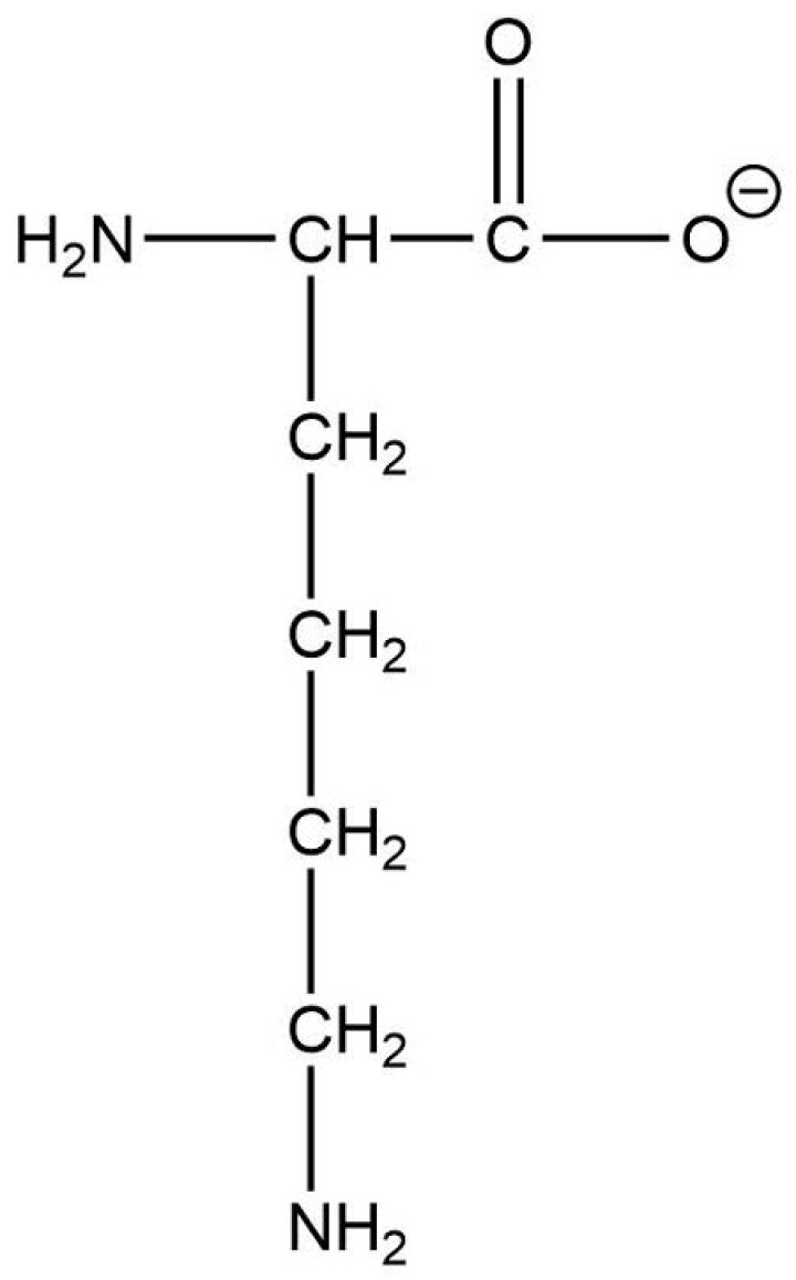 What is the charge on lysine?