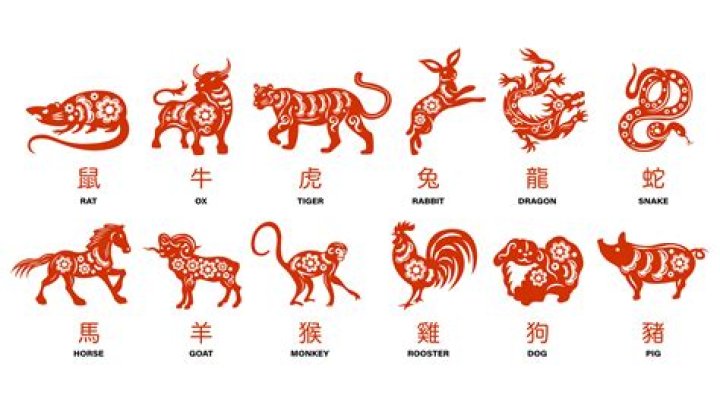 What is the Chinese sign for November?