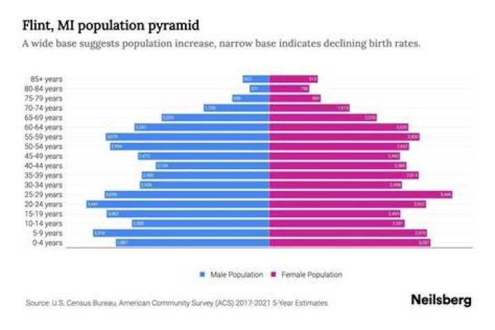 What is the demographic of Flint Michigan?