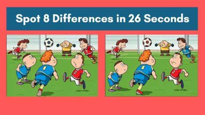 What is the difference between Avdl and AVSC?