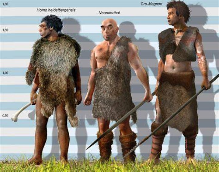 What is the difference between Cro-Magnon and modern man?