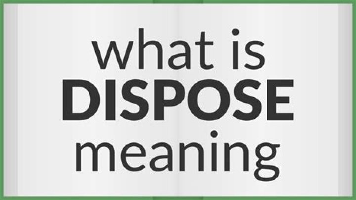 What is the Dispose mean?