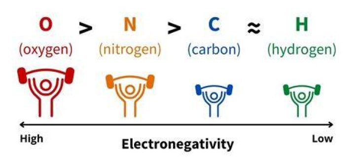 What is the electronegativity between carbon and nitrogen?