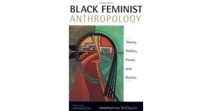 What is the feminist theory in anthropology?